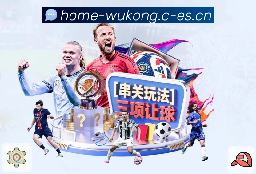 悟空体育APP 封面图